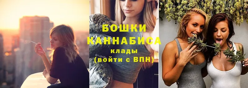 МАРИХУАНА сатива  Вичуга 